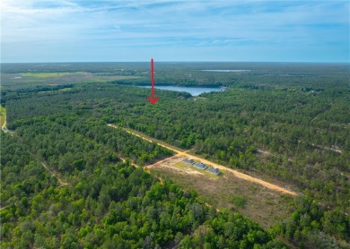 Lake Lot For Sale in Hawthorne, Florida