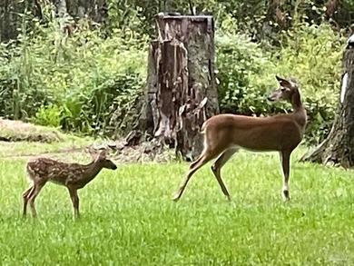 (private lake, pond, coastal) Home For Sale in Milton Florida