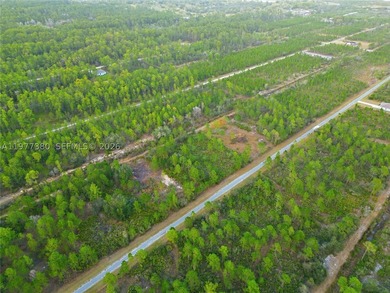 Build your dream home on this spacious 0.50-acre vacant lot - photo 11