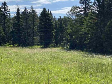 Priced reduced!!! Beautiful 2.1 acre lot in Valley of the Utes - photo 11