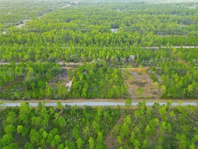 Build your dream home on this spacious 0.50-acre vacant lot - photo 12