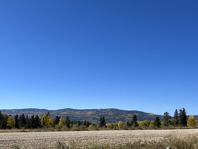 Priced reduced!!! Beautiful 2.1 acre lot in Valley of the Utes - photo 12