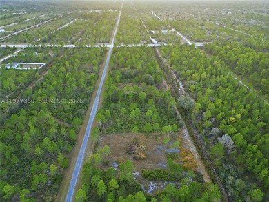 Build your dream home on this spacious 0.50-acre vacant lot - photo 13