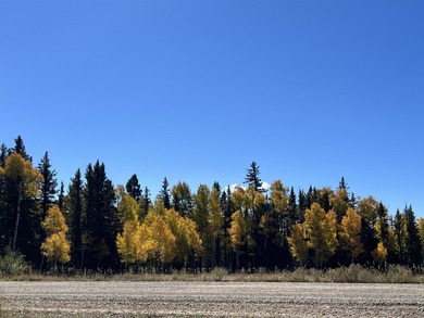Priced reduced!!! Beautiful 2.1 acre lot in Valley of the Utes - photo 13