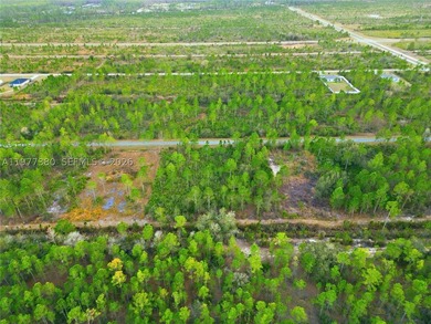 Build your dream home on this spacious 0.50-acre vacant lot - photo 14