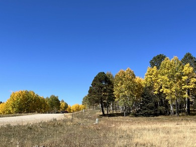 Priced reduced!!! Beautiful 2.1 acre lot in Valley of the Utes - photo 14