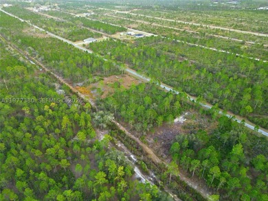 Build your dream home on this spacious 0.50-acre vacant lot - photo 15