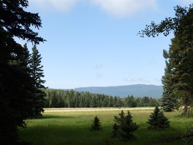 Priced reduced!!! Beautiful 2.1 acre lot in Valley of the Utes - photo 15