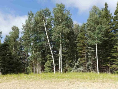 Priced reduced!!! Beautiful 2.1 acre lot in Valley of the Utes - photo 16