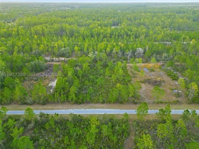 Build your dream home on this spacious 0.50-acre vacant lot - photo 17