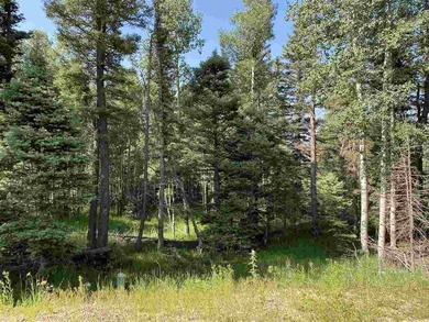 Priced reduced!!! Beautiful 2.1 acre lot in Valley of the Utes - photo 17