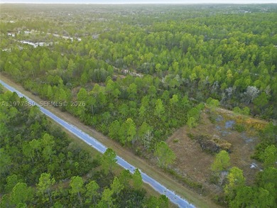 Build your dream home on this spacious 0.50-acre vacant lot - photo 18