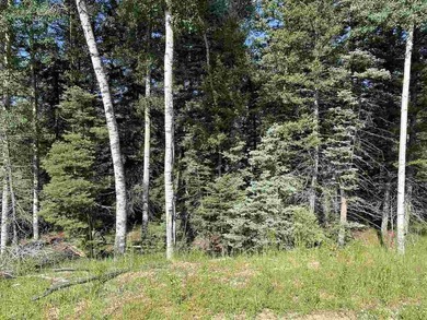 Priced reduced!!! Beautiful 2.1 acre lot in Valley of the Utes - photo 18