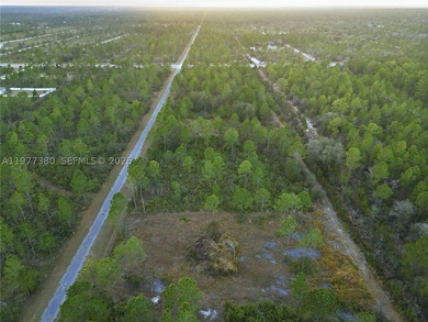 Build your dream home on this spacious 0.50-acre vacant lot - photo 19