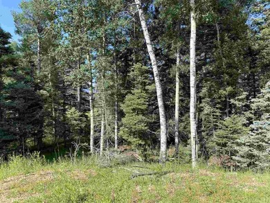 Priced reduced!!! Beautiful 2.1 acre lot in Valley of the Utes - photo 19