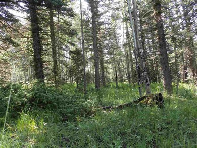 Priced reduced!!! Beautiful 2.1 acre lot in Valley of the Utes - photo 20