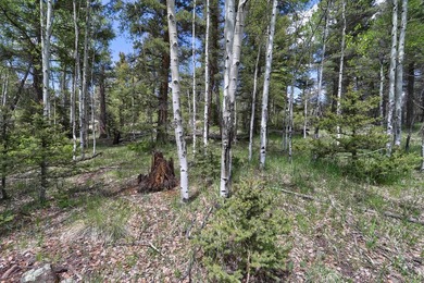 Priced reduced!!! Beautiful 2.1 acre lot in Valley of the Utes - photo 21