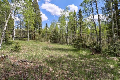Priced reduced!!! Beautiful 2.1 acre lot in Valley of the Utes - photo 22