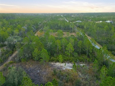Build your dream home on this spacious 0.50-acre vacant lot - photo 23
