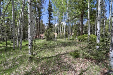 Priced reduced!!! Beautiful 2.1 acre lot in Valley of the Utes - photo 23