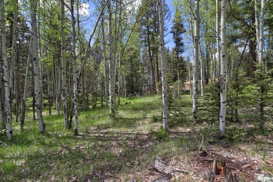 Priced reduced!!! Beautiful 2.1 acre lot in Valley of the Utes - photo 24