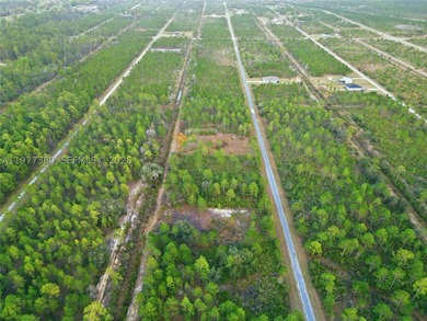 Build your dream home on this spacious 0.50-acre vacant lot - photo 25