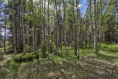 Priced reduced!!! Beautiful 2.1 acre lot in Valley of the Utes - photo 25
