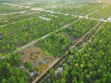 Build your dream home on this spacious 0.50-acre vacant lot - photo 26