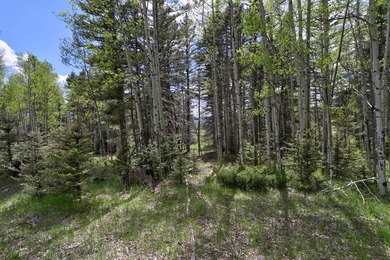 Priced reduced!!! Beautiful 2.1 acre lot in Valley of the Utes - photo 26