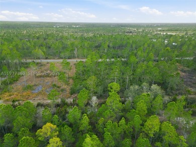 Build your dream home on this spacious 0.50-acre vacant lot - photo 27