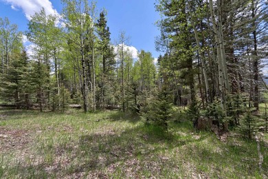 Priced reduced!!! Beautiful 2.1 acre lot in Valley of the Utes - photo 27