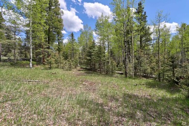 Priced reduced!!! Beautiful 2.1 acre lot in Valley of the Utes - photo 28