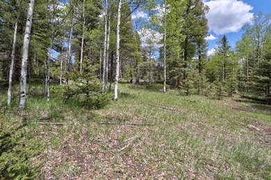 Priced reduced!!! Beautiful 2.1 acre lot in Valley of the Utes - photo 29