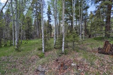 Priced reduced!!! Beautiful 2.1 acre lot in Valley of the Utes - photo 30