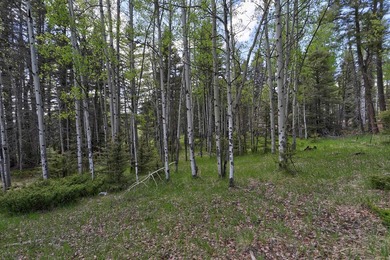 Priced reduced!!! Beautiful 2.1 acre lot in Valley of the Utes - photo 31