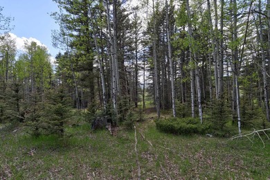 Priced reduced!!! Beautiful 2.1 acre lot in Valley of the Utes - photo 32