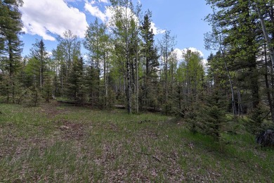 Priced reduced!!! Beautiful 2.1 acre lot in Valley of the Utes - photo 33