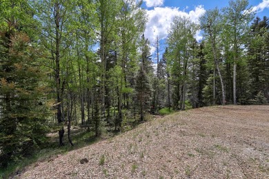 Priced reduced!!! Beautiful 2.1 acre lot in Valley of the Utes - photo 34