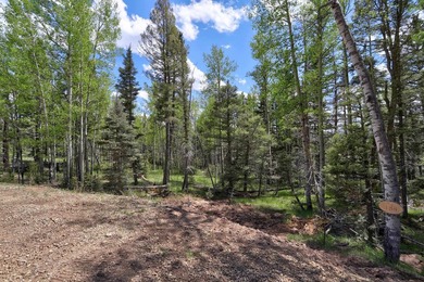 Priced reduced!!! Beautiful 2.1 acre lot in Valley of the Utes - photo 35