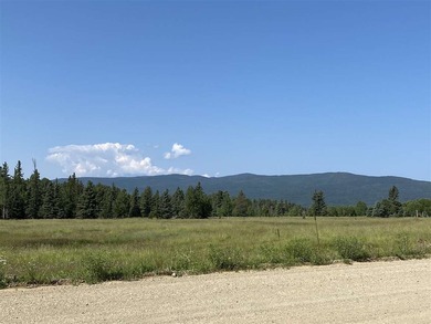 Priced reduced!!! Beautiful 2.1 acre lot in Valley of the Utes - photo 38