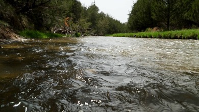 Niobrara River Ranch - A Rare Opportunity for Ranching & - photo 13