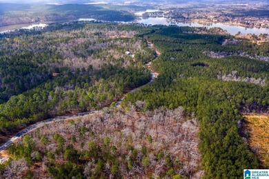 Just under 2 Acres with 140' +/- Waterfront - surveyed & ready - photo 15
