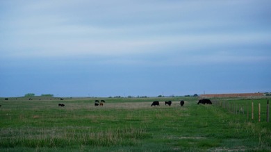 Niobrara River Ranch - A Rare Opportunity for Ranching & - photo 16