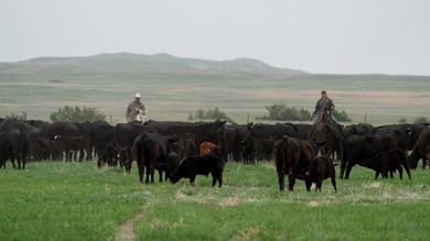 Niobrara River Ranch - A Rare Opportunity for Ranching & - photo 18