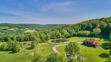 (private lake, pond, creek) Home For Sale in Callicoon Center New York