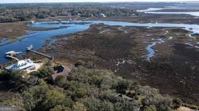 (private lake, pond, coastal) Lot For Sale in Saint Marys Georgia