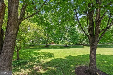 End-unit lakefront townhome in sought-after Gunners Lake Village - photo 44