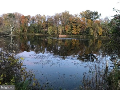 End-unit lakefront townhome in sought-after Gunners Lake Village - photo 50