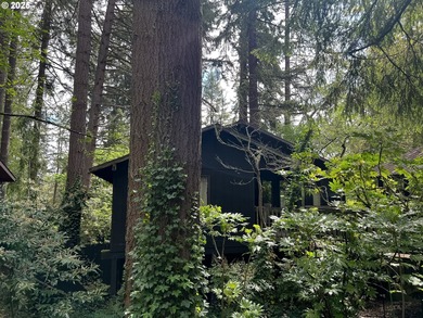 (private lake, pond, coastal) Home For Sale in Eugene Oregon