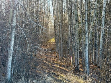 Seller financing is available with a Contract for Deed. Located - photo 5